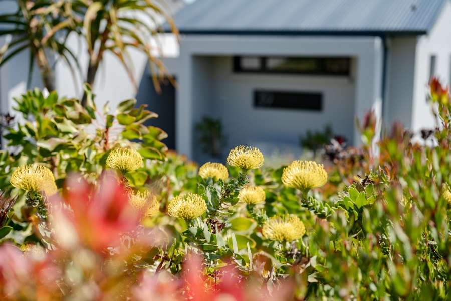 4 Bedroom Property for Sale in Brackenridge Western Cape